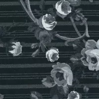 Bílé velké růže na černé