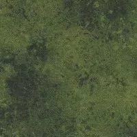 Olivově zelená makatá