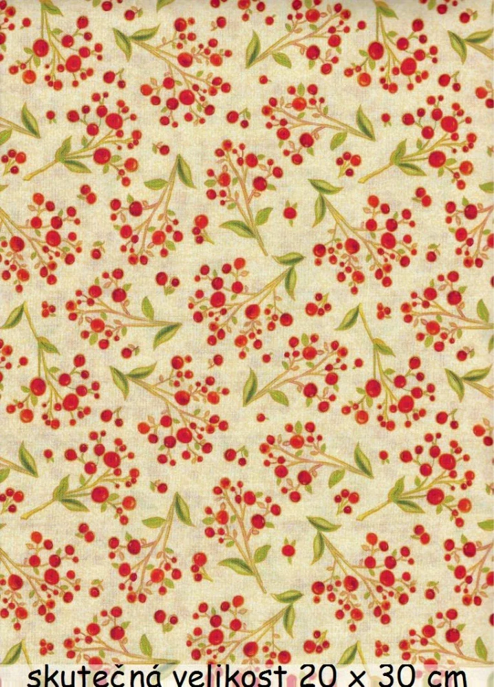 Podzimní plody na větvičkách na béžovém podkladu