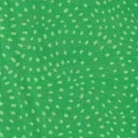 Světle zelené pecičky na zelené