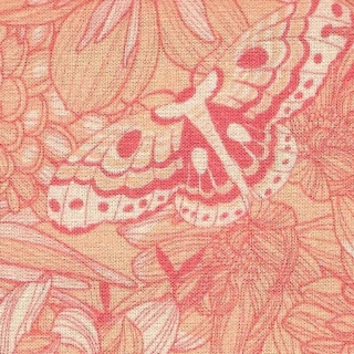 Květy jiřin a můry v lososové