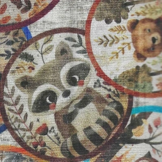 Lesní zvířátka v kroužkách