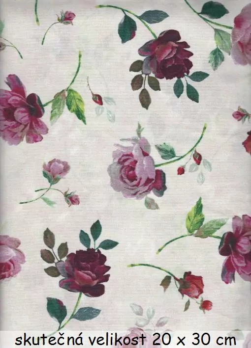 Růže na růžové hladině